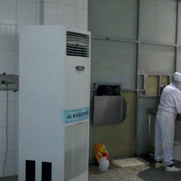 咸宁食品正负离子空气杀菌器